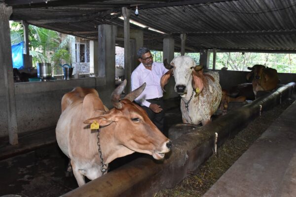ધરમપુર તીસ્કરી તલાટના ખેડૂતનું ગીર ગાય ગૌશાળા દ્વારા પ્રાકૃતિક ખેતીમાં મહત્વપૂર્ણ યોગદાન