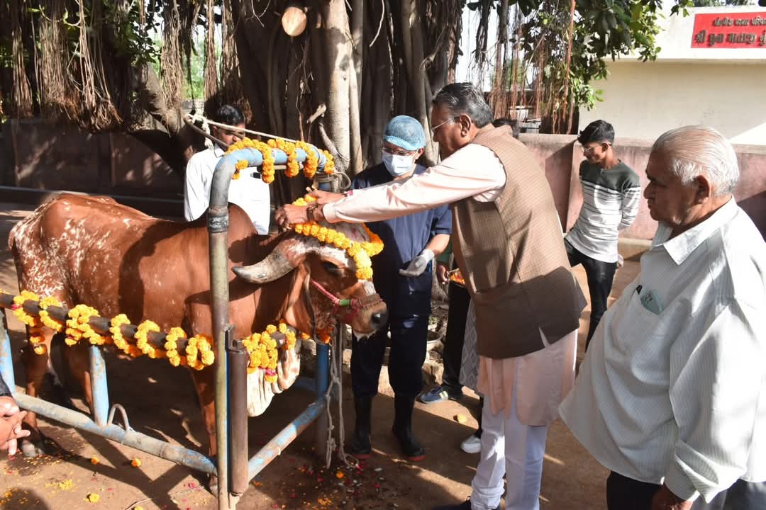 જામનગરના મોરકંડા ગામે મંત્રી રાઘવજીભાઈ પટેલના હસ્તે પશુ આરોગ્ય કેમ્પ ખુલ્લો મુકાયો