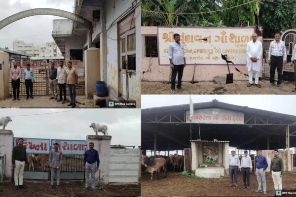 મુખ્યમંત્રી ગૌમાતા પોષણ યોજના અંતર્ગત જામનગર જિલ્લાની ૩૧ ગૌશાળા તથા પાંજરાપોળ માટે રૂ. ૧.૮૪ કરોડની આર્થિક સહાય મંજૂર કરતા જિલ્લા કલેક્ટર  કેતન ઠક્કર