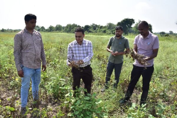 વડોદરામાં માવઠાથી પાક નુકસાનનો સર્વે પૂર્ણ