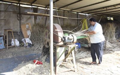 બારડોલી તાલુકાના કણાઈ ગામના બળવંતભાઈ પટેલે પશુપાલન દ્વારા આત્મનિર્ભરતા તરફ પગલું ભર્યું