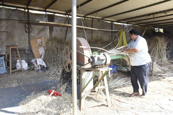 બારડોલી તાલુકાના કણાઈ ગામના બળવંતભાઈ પટેલે પશુપાલન દ્વારા આત્મનિર્ભરતા તરફ પગલું ભર્યું