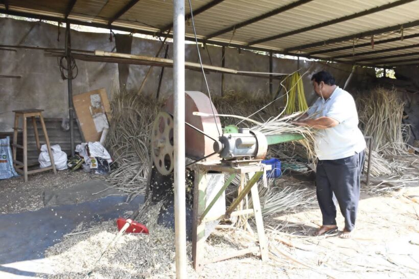 બારડોલી તાલુકાના કણાઈ ગામના બળવંતભાઈ પટેલે પશુપાલન દ્વારા આત્મનિર્ભરતા તરફ પગલું ભર્યું