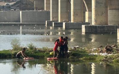 ગાંધીનગર ફાયર બ્રિગેડની જાંબાઝી: સતર્કતા અને ત્વરિત કામગીરીથી એક જ સપ્તાહમાં ત્રણ અમૂલ્ય જીવ બચાવાયા