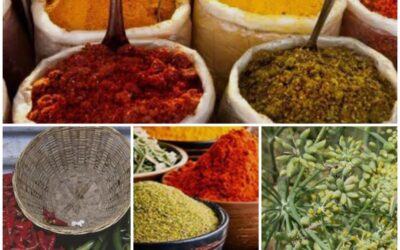       ઉનાળો આવતા જ ગુજરાતી ઘરોમાં વર્ષભરના મસાલા ભરવાની તૈયારીઓ શરૂ થઈ જાય છે. અત્યારે ગૃહિણીઓ શુદ્ધતાનો આગ્રહ રાખતી થઈ છે, ત્યારે ‘પ્રાકૃતિક કૃષિ’ દ્વારા પકવેલા મસાલાની માંગ અને કિંમત બંને બજારમાં ખૂબ ઊંચા રહે છે.