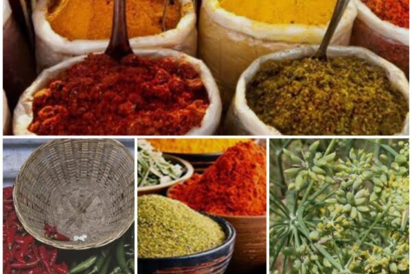       ઉનાળો આવતા જ ગુજરાતી ઘરોમાં વર્ષભરના મસાલા ભરવાની તૈયારીઓ શરૂ થઈ જાય છે. અત્યારે ગૃહિણીઓ શુદ્ધતાનો આગ્રહ રાખતી થઈ છે, ત્યારે ‘પ્રાકૃતિક કૃષિ’ દ્વારા પકવેલા મસાલાની માંગ અને કિંમત બંને બજારમાં ખૂબ ઊંચા રહે છે.