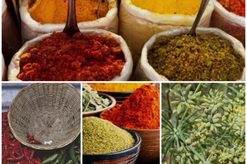       ઉનાળો આવતા જ ગુજરાતી ઘરોમાં વર્ષભરના મસાલા ભરવાની તૈયારીઓ શરૂ થઈ જાય છે. અત્યારે ગૃહિણીઓ શુદ્ધતાનો આગ્રહ રાખતી થઈ છે, ત્યારે ‘પ્રાકૃતિક કૃષિ’ દ્વારા પકવેલા મસાલાની માંગ અને કિંમત બંને બજારમાં ખૂબ ઊંચા રહે છે.