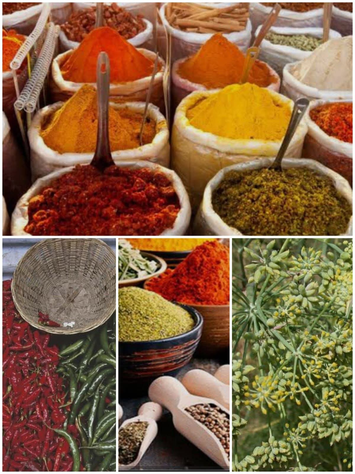       ઉનાળો આવતા જ ગુજરાતી ઘરોમાં વર્ષભરના મસાલા ભરવાની તૈયારીઓ શરૂ થઈ જાય છે. અત્યારે ગૃહિણીઓ શુદ્ધતાનો આગ્રહ રાખતી થઈ છે, ત્યારે ‘પ્રાકૃતિક કૃષિ’ દ્વારા પકવેલા મસાલાની માંગ અને કિંમત બંને બજારમાં ખૂબ ઊંચા રહે છે.